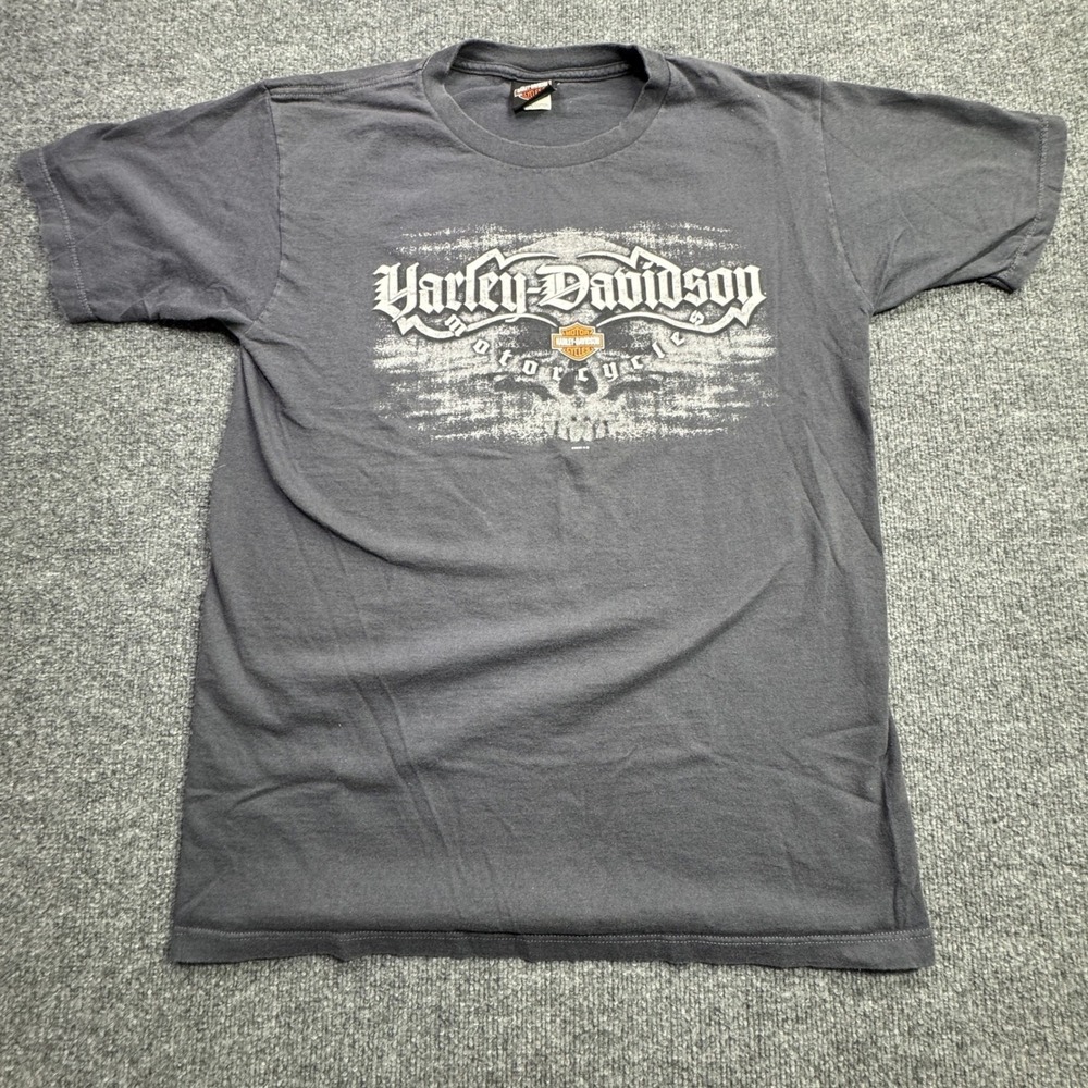 Harley Davidson T Shirt Mens L Gray Daytona Beach Florida Skull 2006 Retro